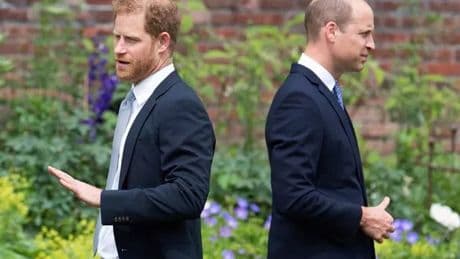 Prince Harry's team bites back with stunning rebuke after William 'banish' claim