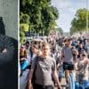 Waarom je deze zomer opvallend veel mensen hoort hoesten en niezen: ‘In de meeste gevallen moet je je echt geen zorgen maken’