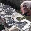 Secrets of Michael Jordan's $9.5M mansion... revealed for first time by man who bought it and couldn't believe what he discovered