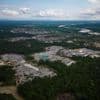 Amazon deforestation surges in Colombia, reversing historic gains