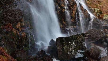La espectacular ruta de senderismo en medio de un bosque de Zamora con una cascada de 45 metros