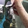 Grijpgrage octopus laat arm 6-jarige Leo in Amerikaans aquarium pas met hulp drie volwassenen los: “Mama, hij laat me niet los!”