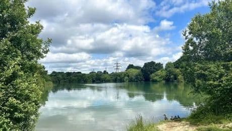 Man, 27, drowns while swimming in popular beauty spot