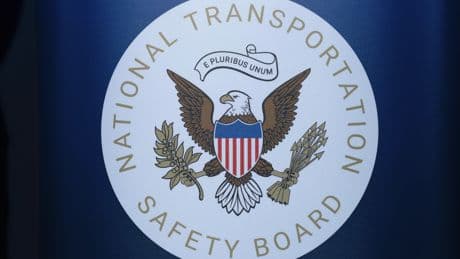 Pilot who died in N.C. plane crash tried to avoid a turtle on airport runway