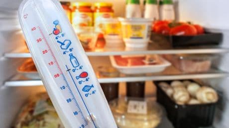 Cool bleiben: Die richtige Kühlschrank-Temperatur – eine Hüterin für Frische und Effizienz