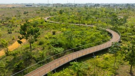 Côte d’Ivoire : à Abidjan, une décharge géante reconvertie en parc urbain