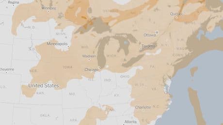 Air Quality in Toronto and Montreal Suffers From Canada’s Wildfire Smoke