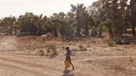 Why the World Turned on NGOs