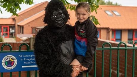 Dad gets message from 'woke' school telling him not to dress as gorilla