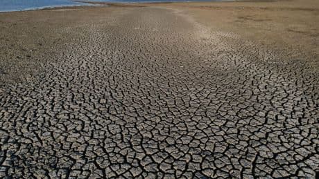 Trockenheit: Wenn das Wasser knapp wird