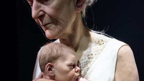 Dès l’âge de 50 ans, les cellules de notre sang s’appauvrissent