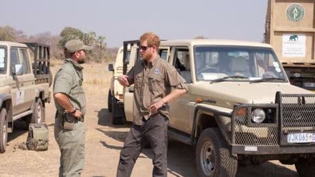 Prinz Harrys Naturschutzorganisation gibt Fälle von Folter und Vergewaltigungen zu