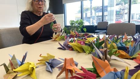 Winnipeg seniors fold 1,000 origami cranes as a message of peace