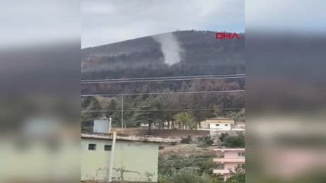 Hatay'da geçen ay yanan ormanda bu kez hortum