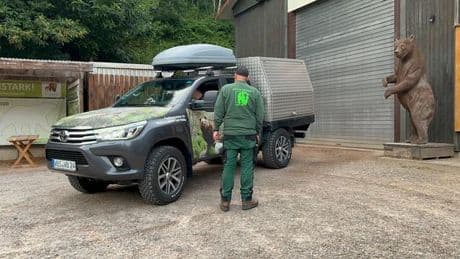Problembärin: Wildbärin Gaia im Bärenpark angekommen