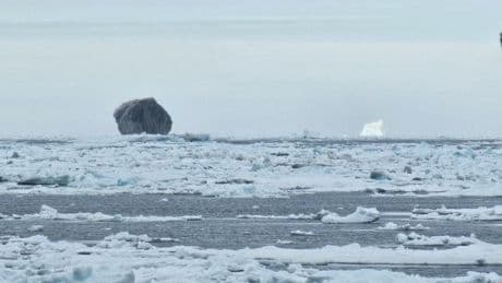 Black iceberg spotted off Labrador could be result of an asteroid strike