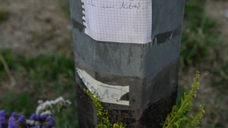 Oggi l'addio a Cecilia. "Ambrogino d'oro alla sua memoria"