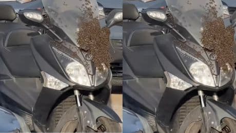 Deja la moto en un parking al aire libre en Valencia y lo que encuentra al volver es aterrador: “Yo no me acerco más”