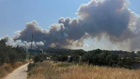 Çanakkale'de tarlada başlayan yangın ormana sıçradı