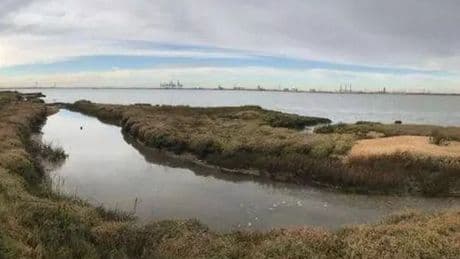 Abandoned 'Deadman's Island' littered with human remains and coffins