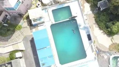 'World's loneliest dolphin' dies alone in tiny tank at abandoned theme park