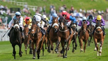 Newsboy's ITV4 selections for Chester and Newton Abbot plus tips from Wednesday's other three meetings