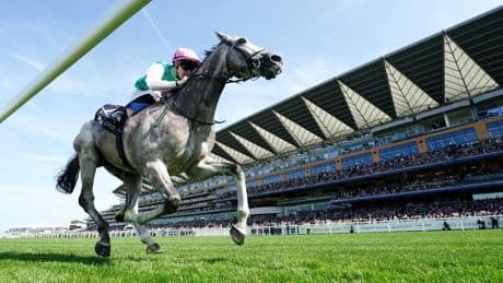 Glorious Goodwood racing tips: Best bets and odds for day one