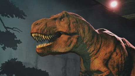 Vous voulez un sac à main en peau de tyrannosaure? Des chercheurs en recréent un grâce à l'ADN d'un fossile