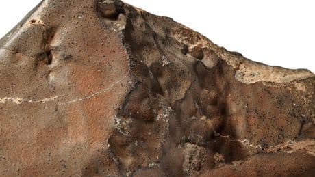 El trozo más grande de Marte que hay en la Tierra no está en un museo, ni un laboratorio: está en una casa de subastas