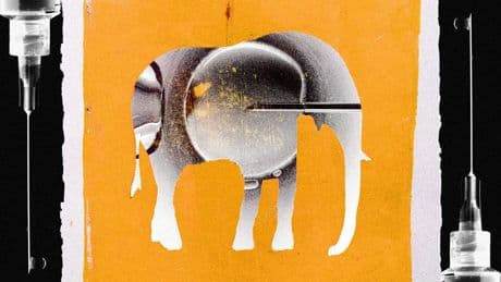 Conservative support builds for IVF guardrails