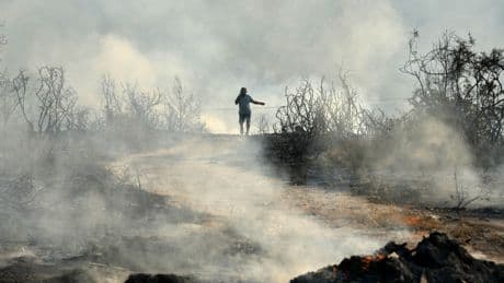 The UN's Decision To Let Countries To Sue Each Other Over Climate Change Is A Regrettable Necessity