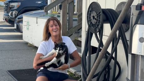 Video captures ‘magical moment’ cat lost on B.C. ferry 2 weeks ago reunites with owner