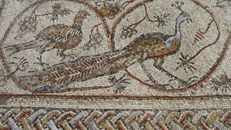 Israel threatens to strike museum storehouse containing ‘unique’ Palestinian artefacts, archaeologists say