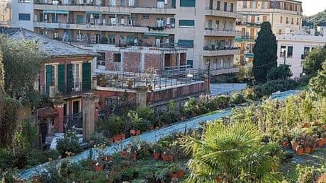 Nuove regole per le attività commerciali genovesi: “Limite superficie dei negozi di 1000 metri quadri”