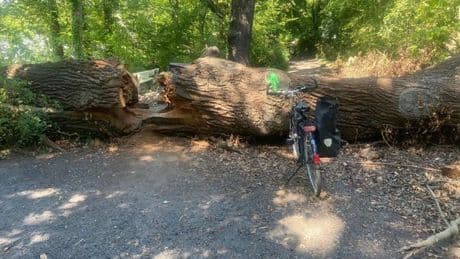 „Passanten stehen seit Wochen vor dem Hindernis und ärgern sich“