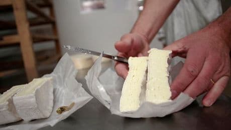 Camembert, coulommiers, chèvre… Quels sont les fromages rappelés face au risque de listériose?
