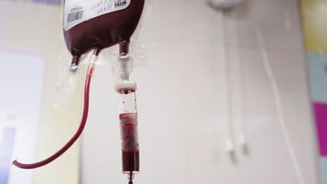 ¿Puedes donar sangre sin conocer tu grupo? Esto es lo que debes saber antes de hacerlo