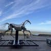 À Nantes, la place Graslin se prépare à accueillir Zeus, le cheval star des JO de Paris 2024