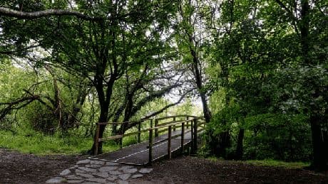 Visitas con nombre propio ¿Quién es quién?