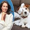 I volunteered to dogsit my friend's 'cute and adorable' puppy and it cost me over £1,000 in damages. Should I send her the bill? VICKY REYNAL replies