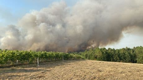 Charente : l’incendie du massif de la Double fixé après avoir brûlé 230 hectares