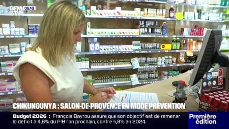 Chikungunya: Salon-de-Provence en alerte maximale après 10 cas détectés