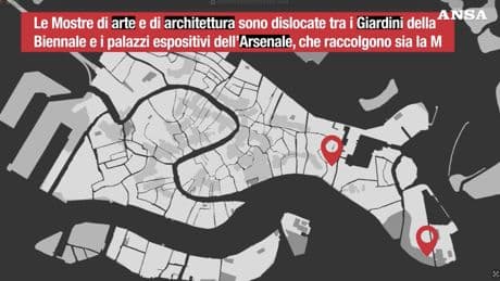 Come funziona la Biennale di Venezia: tra arte, architettura e cinema