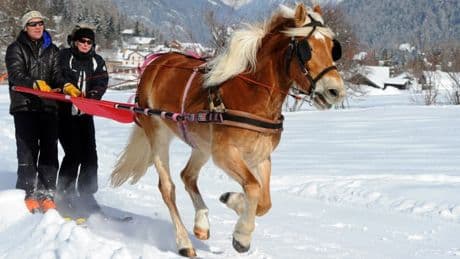Vacances de Noël: que faire à la montagne si on ne peut pas skier?