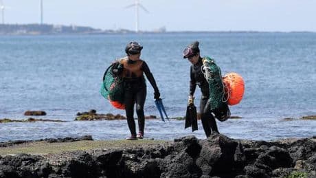 Au Centre culturel coréen de Paris, une exposition sur les prodigieuses plongeuses de l’île de Jeju