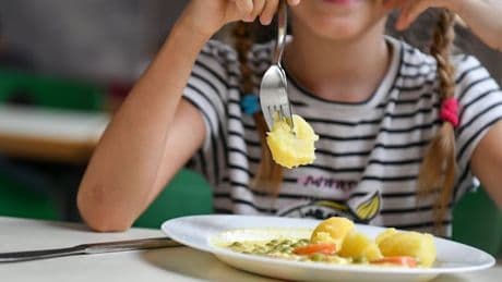 Schulessen in Hamburg wird teurer – Elternbeitrag steigt auf bis zu fünf Euro pro Mahlzeit