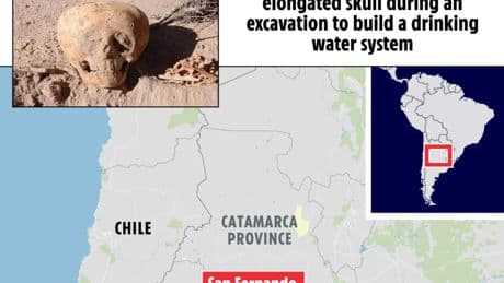 Disturbing alien-like skull belonging to ‘archaic’ human stuns experts who say ‘barbaric’ deformation ritual is to blame