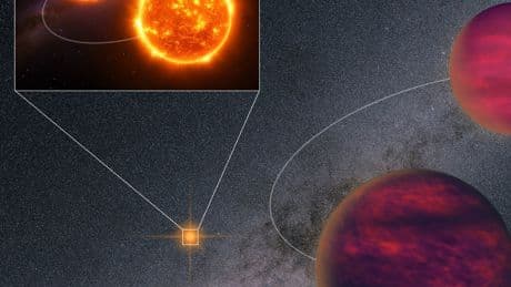 Scientists Find a Quadruple Star System in Our Cosmic Backyard
