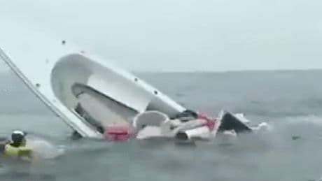 Ecuador: Wal bringt Touristen-Boot zum Kentern