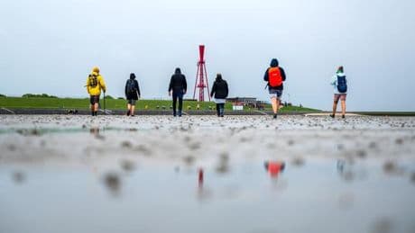 16 Jahre Unesco-Auszeichnung: Kostenlose Führungen - Wattenmeer feiert Welterbegeburtstag